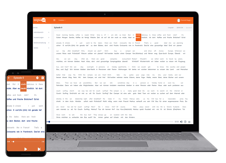 surface_und_pixel_linguajet
